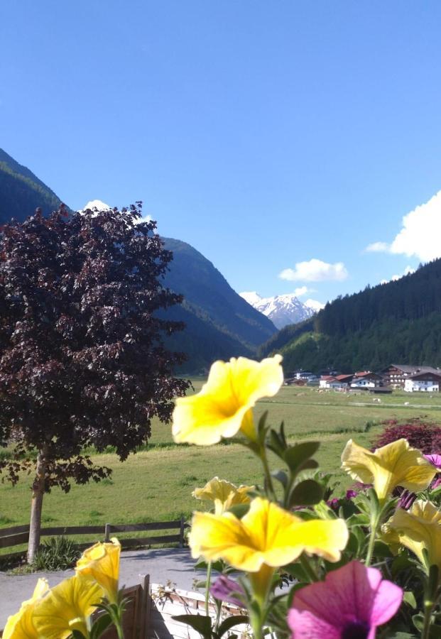 Apartament Susanne *